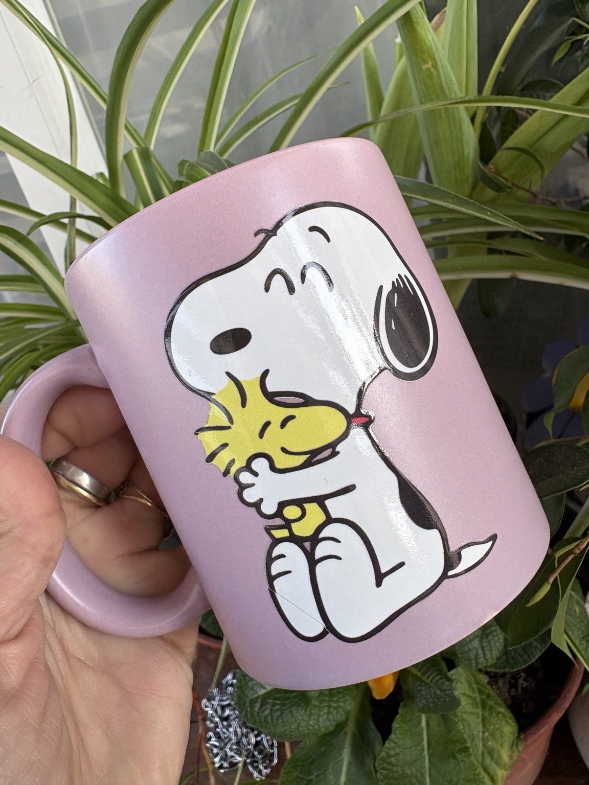 Tazón lila con Snoopy y Woodstock